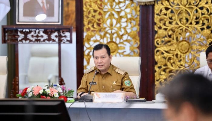 Pj Gubernur Elen Setiadi Jamin Penyerapan  Gabah Petani di Sumsel Bakal Lebih Maksimal