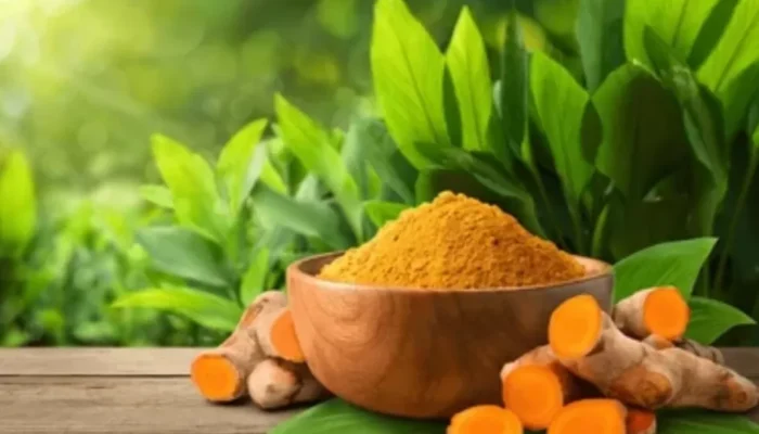 Kunyit, Rempah Kuning yang Kaya Manfaat untuk Kesehatan Tubuh