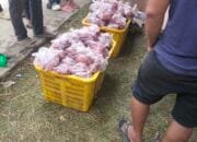 Ini Cara Simpan Daging Kurban Agar Tahan Lama