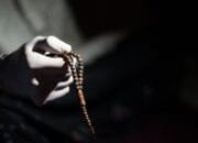 Muharram Tiba! Ini 8 Amalan & Dzikir Terbaik untuk Sambut Tahun Baru Hijriyah