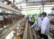 Banyuasin Jadi Role Model, Gubernur Canangkan Era Baru Peternakan Modern di Sumsel