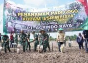 Pangdam II/Sriwijaya Canangkan Penanaman Padi Gogo: TNI Bersinergi Wujudkan Ketahanan Pangan Nasional