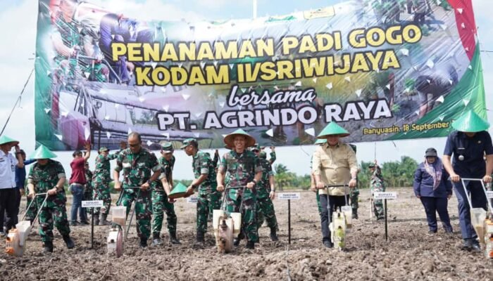 Pangdam II/Sriwijaya Canangkan Penanaman Padi Gogo: TNI Bersinergi Wujudkan Ketahanan Pangan Nasional