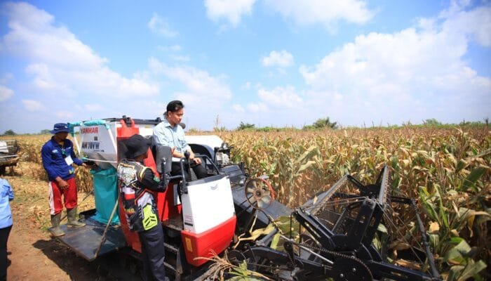 Wapres Gibran Hadiri Panen Raya Jagung di Banyuasin, Titip Pesan Presiden Prabowo